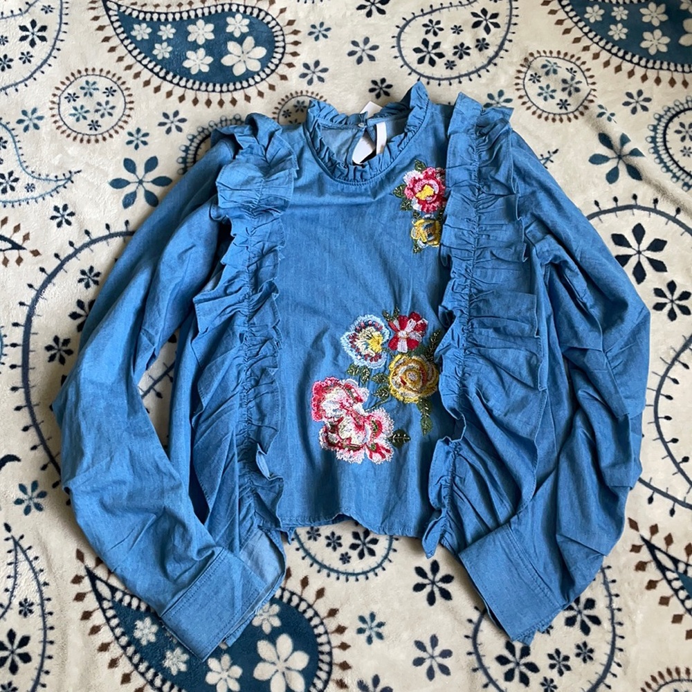 Zara denim embroidered top